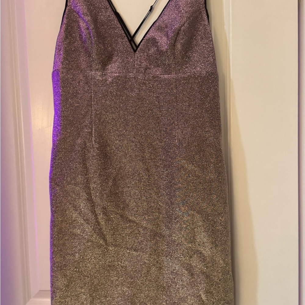 NWT Express Elegant Gold Pink Color Changing Dress